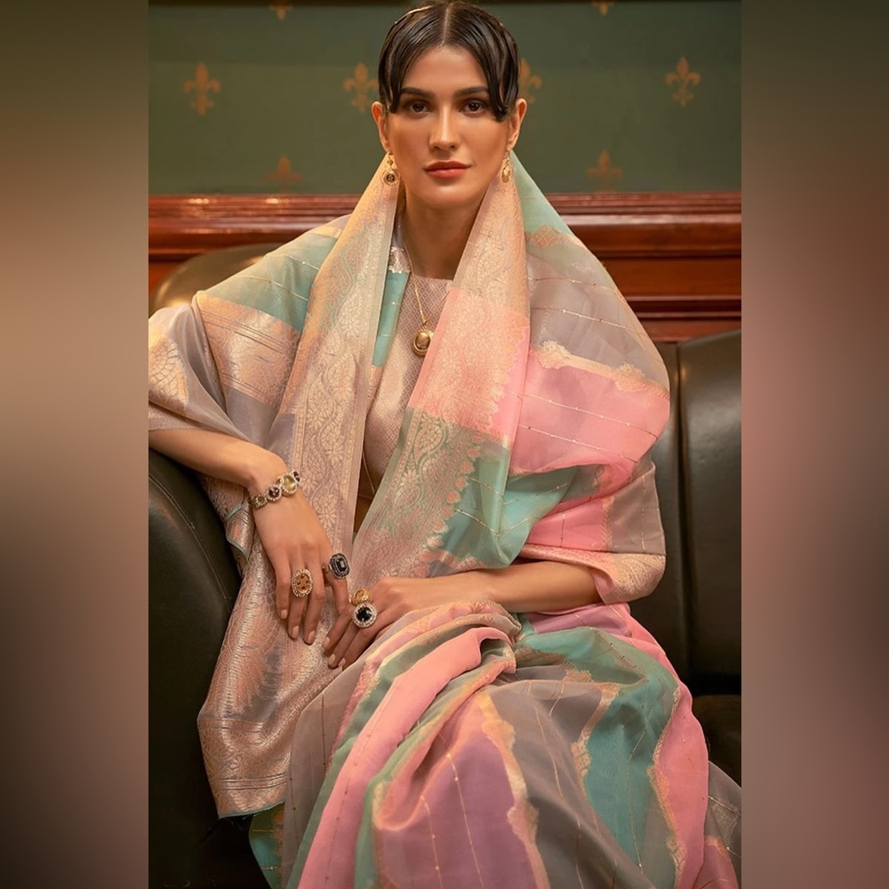 Gorgeous organza sari (saree) in soft pastel multicolor pink, blue, yellow, gold